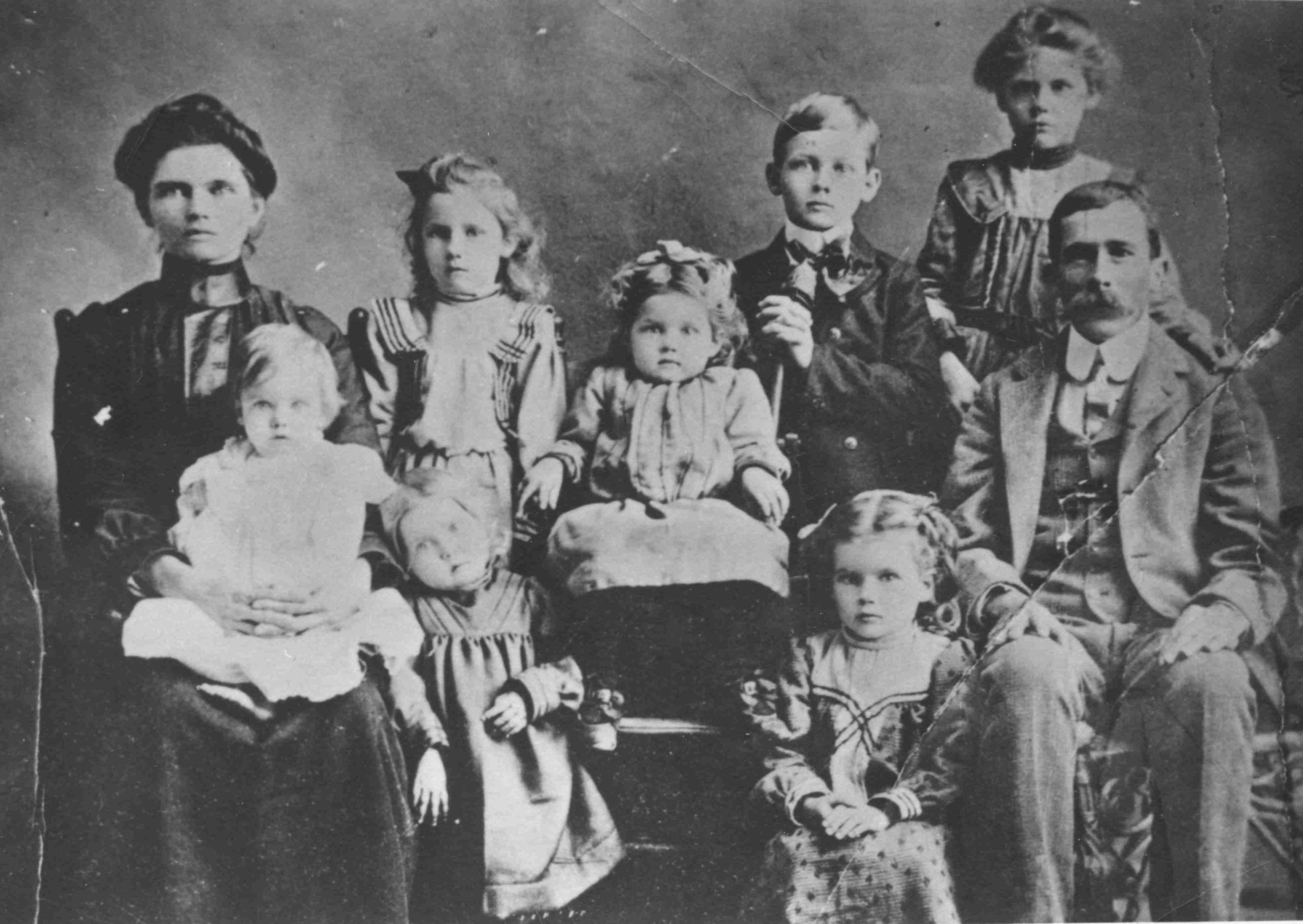 Cobia family